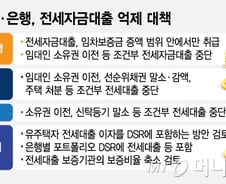 실수요자 불편 없게 한다더니… 전세대출도 마음대로 못 받는다