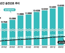 10년간 발전량 55% 늘때 전력망 9% 증가…전력망 지원 시급
