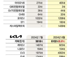 "최대 1050만원" 할인으로 위기 돌파..車업계 "플랜B도 마련"