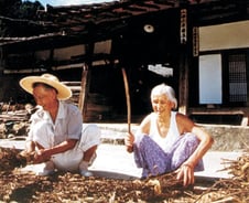 흰물체가 반짝…"가평서 UFO 포착" 전세계가 열광[뉴스속오늘]