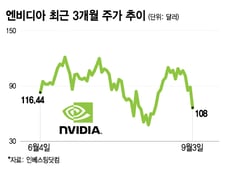 애널리스트들은 낙관하는데…엔비디아 주가 급락 2가지 이유[오미주]