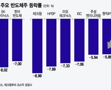 엔비디아 HBM 납품 호재도 '삭제'… 반도체주 동반 폭락