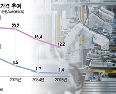힘 잃은 리튬, 탈캐즘 기회지만…내년까진 '치킨게임'