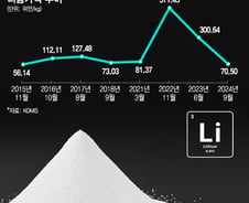 11만원→1.3만원…'하얀석유'의 추락, 전기차 살린다
