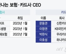 덩달아 빨라진 보험·카드사 CEO 인사 레이스…누가 자리 지킬까