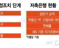 [단독]'적기시정' 저축은행 3곳 중 1~2곳 유예 가능성