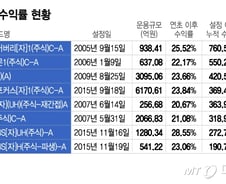 환율 반토막 나도 400% 수익률…인도펀드의 위엄