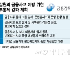 금융투자업계 내부통제 고심하는 금감원…늑장보고도 처벌해야하나