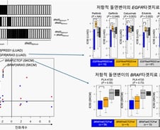 "특정 유전자 쌍, 암과 있을 때 암세포 죽어" 암 치료 새 길 열리나