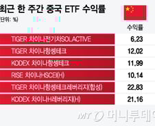 '일주일만에 20%↑' 中 부양책에 중학개미 '웃음꽃'
