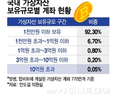 가상자산도 빈부격차…상위 1% '코인 고래', 전체투자금 70% 차지