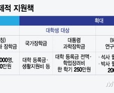 연구만 해도 먹고살 걱정없도록...'땜질' 나선 정부