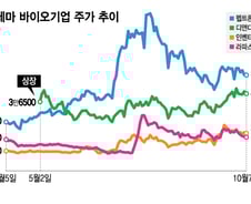 아직 갈 길 먼 국산 비만신약 기술, 어김없이 고개 든 '옥석가리기'