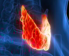 '착한' 암은 없다…"과잉진단" 논란 그 후, 갑상선암 사망률 다시 증가