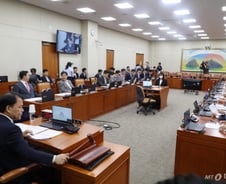 정무위 국감 첫날 '금투세·티메프·배달앱·교과서' 놓고 '몸풀기'