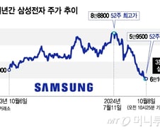 10만전자 희망에 7조 담았는데 6만도 아슬…그래도 개미 줍줍