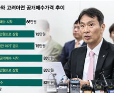 금감원 조사 착수하자 MBK "가격인상 없다"…공은 최윤범으로