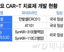 '원샷' CAR-T 항암제, 내년 국산화 여부에 '촉각'…국내 개발사 주목
