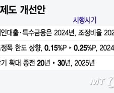 [단독]자본비율 '초비상' 보험업권…금융당국, 규제 속도 늦춘다