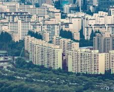 '평당 600만원' 사들인 땅 1만원…'웃돈' 챙기고 잠수탄 중개사 정체는