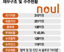 노을, WHO가 인정한 AI 암진단 기술…"글로벌 시장 공략 강화"