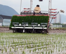 국회, '농업계 카이스트' 농진청 R&D 예산 확보 강조…"농촌 기계화"