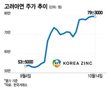 MBK·영풍 공개매수 종료…고려아연 경영권 분쟁 분수령