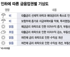 금리인하에 은행·보험 '울상', 카드·캐피탈 '방긋'