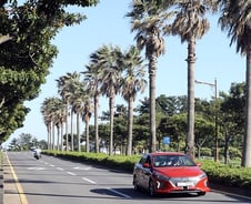 비닐하우스·가로등서 다시 태어난 '폐배터리' 제주 밝힌다