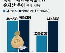 잘나가는 미국·중국 VS 소외 한국증시에 해외 ETF만 껑충