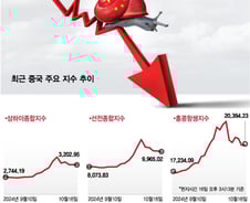 롤러코스터 탄 중국 증시, 일시적 조정일까 랠리의 끝일까