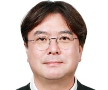 [광화문]새로운 나무를 심어야 하는 이유