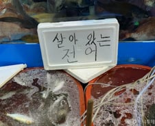 "2만원 하던 게 올해는 4만원"…집 나간 '전어', 손님 안 돌아왔다[르포]