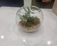 "이끼에 이런 효과가?" 창의재단 과학교실 모인 300명 '탄소중립 실천'