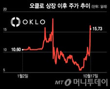 원전주 랠리, 우라늄 가격도 오르나…지금이라도 투자하려면[오미주]