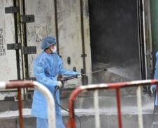 둘 중 한명은 '사망'…사람잡는 '조류독감', 한국 뚫렸다