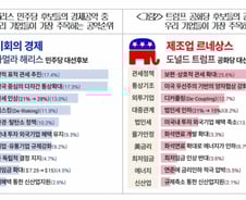 "해리스, 표적 관세"vs"트럼프, 보조금 중단" 美대선 주목하는 韓기업