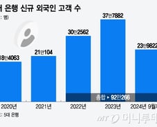 '억대' 연봉자에게도 돈 안 빌려준다?…외국인 대출 꺼리는 은행, 왜
