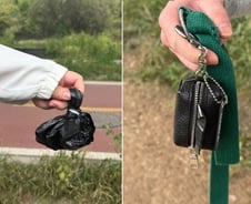 아스팔트 대신 흙 밟으며 '킁킁'…'댕댕이 출입' 청계천 가보니[르포]