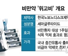 170cm·60kg 정상인도…"위고비 처방까지 21초" 비대면진료 막을까