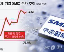 5만전자 가는 동안 두 배 올랐다…반도체주 산 중학개미 '방긋'