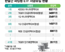 증시 불확실성 커지자...파킹형 ETF로 피신한 개미들