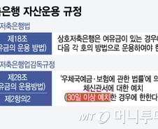 우체국 예금으로 BIS 비율 부풀린다?… 실제 효과는 '미미'