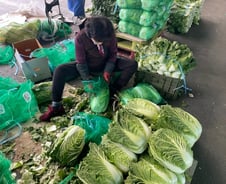 8만원하던 금배추 내렸지만…"김장은 부담" 무·얼갈이 담았다[르포]