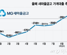 [단독]새마을금고만 대출규제 '열외'…'풍선효과' 이유 있었다