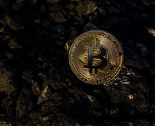 치솟는 금·비트코인… 미국 대선 끝나도 오를까?