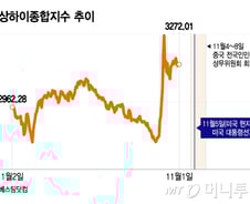전 세계가 들썩였는데…중국 증시는 '트럼프 트레이드' 없었다