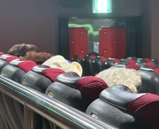 영화 시작해도 환하네…"소리 내도 이해" 치매 환자 반기는 극장[르포]