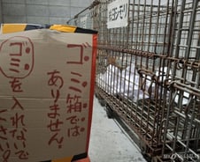 日 종이 분리수거장에 수상한 안내문..."쓰레기통 아닙니다"[르포]