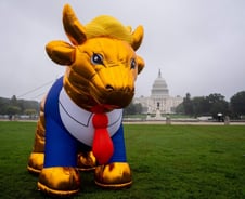 "인정 못해"…트럼프가 깬 미국 '민주주의 상징' 승복연설, 이번에도?